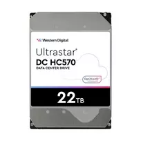 Sandisk HDD WESTERN DIGITAL ULTRASTAR Ultrastar DC HC570 22TB SAS 512MB 7200 rpm 3,5" MTBF 2500000 hours 0F48052