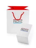 Laikrodis moterims PACIFIC X6131-01 - siatka komunia (zy648b)
