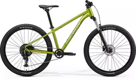 Dviratis Merida Big.Seven 20 2026 fall green(silvergreen)-S