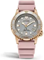 Laikrodis Citizen Eco-Drive EO2023-00A