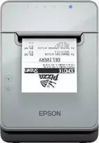 Spausdintuvas Epson TM-L100 (111), Tiesioginis terminis, 203 x 203 DPI, Laidinis, Juoda, Pilka