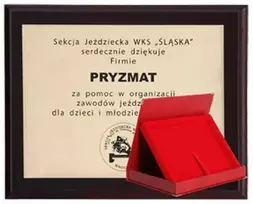 Tryumf Plastikinis diplomas su graviruotu laminatu + dėklas 250x200 mm