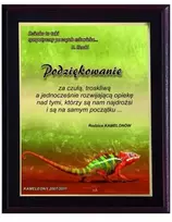 Tryumf Plastikinis diplomas su spalvotu touch laminatu