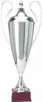 Tryumf Sidabrinis metalinis puodelis T-D 1042-N/B