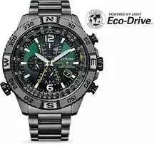 Laikrodis „Citizen“ radijo bangomis valdomas „Promaster Navihawk“ AT8227-56X