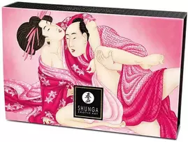Shunga Raspberry Aviečių kūno pudra