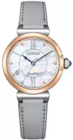 Laikrodis Citizen Eco-Drive EM1074-15D