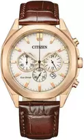 Laikrodis Citizen Eco-Drive CA4593-15A