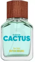 Benetton United Dreams Žalias Cactus EDT tualetinis vanduo vyrams, 100 ml