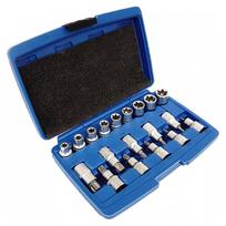 Galvučių rinkinys, Torx, 19vnt., 1/2, Cr-V