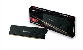 RAM Biostar DDR4 Storming V atminties modulis 8GB 1 x 8GB 3200 MHz (DX32NU4H08)