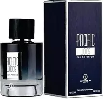 Grandeur Pacific Woods EDP parfumuotas vanduo vyrams, 100 ml