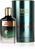 Grandeur Tribal Intense EDP parfumuotas vanduo vyrams, 100 ml