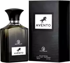 Grandeur Avento EDP parfumuotas vanduo vyrams, 100 ml