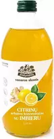Citrinų arbatos koncentratas su imbieru Žolynėlis 520 ml