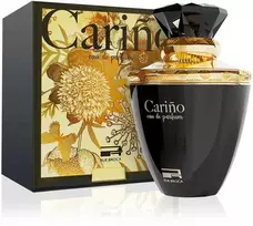 Rue Broca Carino EDP parfumuotas vanduo vyrams, 100 ml
