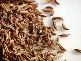 Kanapukis Kmynai 1kg