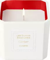 Cartier Les Ecrins Canopee kvapioji žvakė, 220 g