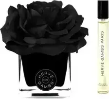 Gift Set Herve Gambs: Terre D'epices, Room Purškiklis, 10 ml + Juodas Couture Flower, Porcelain, Aroma Reed Diffuser, Juodas