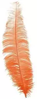 Fiesta Oranžinės stručio plunksnos 40 cm, 12 vnt.