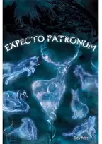 Vision Hario Poterio globėjo lenta