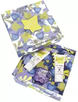 Rinkinys „Lolita Lempicka“: „Mon Premier Parfum“ kvepalai moterims, 100 ml + „Mon Premier Parfum“ drėkinamasis dušo želė visam kūnui, visiems odos tipams, 75 ml + „Mon Premier Parfum“ drėkinamasis kūno pienelis, 75 ml