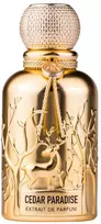 Auraa Desire Cedar Paradise PP kvepalai vyrams, 100 ml