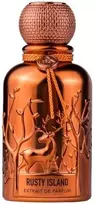 Auraa Desire Rusty Island PP kvepalai vyrams, 100 ml