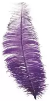 Fiesta Violetinės stručio plunksnos 30 cm, 12 vnt.