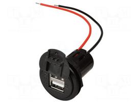 Automotive power supply | USB A socket x2 | 5A | Sup.volt: 12÷24VDC