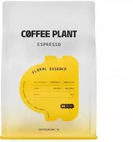 Coffee Plant KAVOS AUGALAS - Gėlių esencijos espreso kava 250g