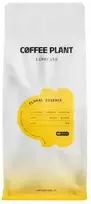 Coffee Plant Kawa ziarnista Kavaplanis KAVOS PLANTAS - Gėlių espreso 1kg