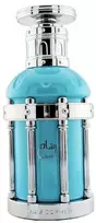 Paris Corner Reham Wild Mineral EDP parfumuotas vanduo unisex, 100 ml