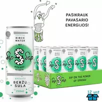 Gazuota beržų sula Su mėtos skoniu. Sip Sap, Alucan 250 ml x 12 vnt