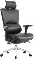 Spacetronik Ergonomiška 6D EGAN juoda pasukama biuro kėdė