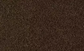 3M Scotch-Brite rašiklis 158x224mm rudas vidutinis