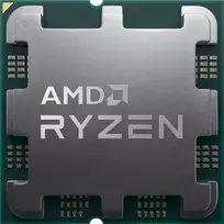 Procesorius AMD Ryzen 9 9900X3D Tray 36