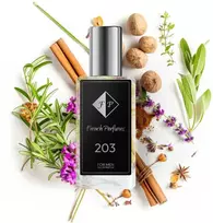Nr203 kvepalai įkvėpti Calvin Klein - Obsession 33 ml