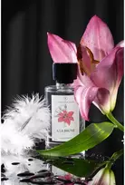 Lhorloge De Flore A LA BRUNE - EDP