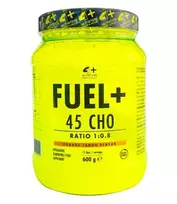4+ Nutrition Fuel+ 45 CHO 600 g : Skonis - Persikinis