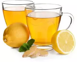 Dolce Vita Zenzero & Limone — imbiero ir citrinos arbatos kapsulės 16vnt. (tinka Lavazza A Modo Mio* sistemai)