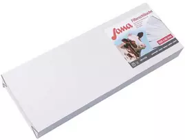Pieno filtras 620x60 46675