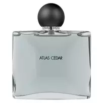 Jean Charles Brosseau Atlas Cedar Collection Homme EDT tualetinis vanduo vyrams, 50 ml