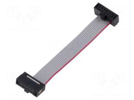 Ribbon cable with IDC connectors | IDC socket,both sides | 30AWG