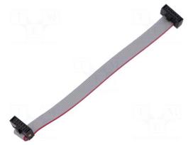 Ribbon cable with IDC connectors | IDC socket,both sides | 30AWG