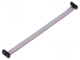 Ribbon cable with IDC connectors | IDC socket,both sides | 30AWG
