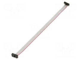 Ribbon cable with IDC connectors | IDC socket,both sides | 165mm