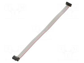 Ribbon cable with IDC connectors | IDC socket,both sides | 165mm