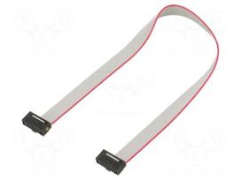 Ribbon cable with IDC connectors | IDC socket,both sides | 190mm