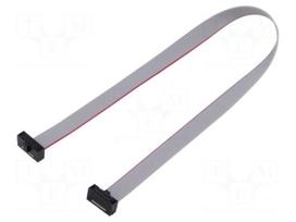 Ribbon cable with IDC connectors | IDC socket,both sides | 30AWG